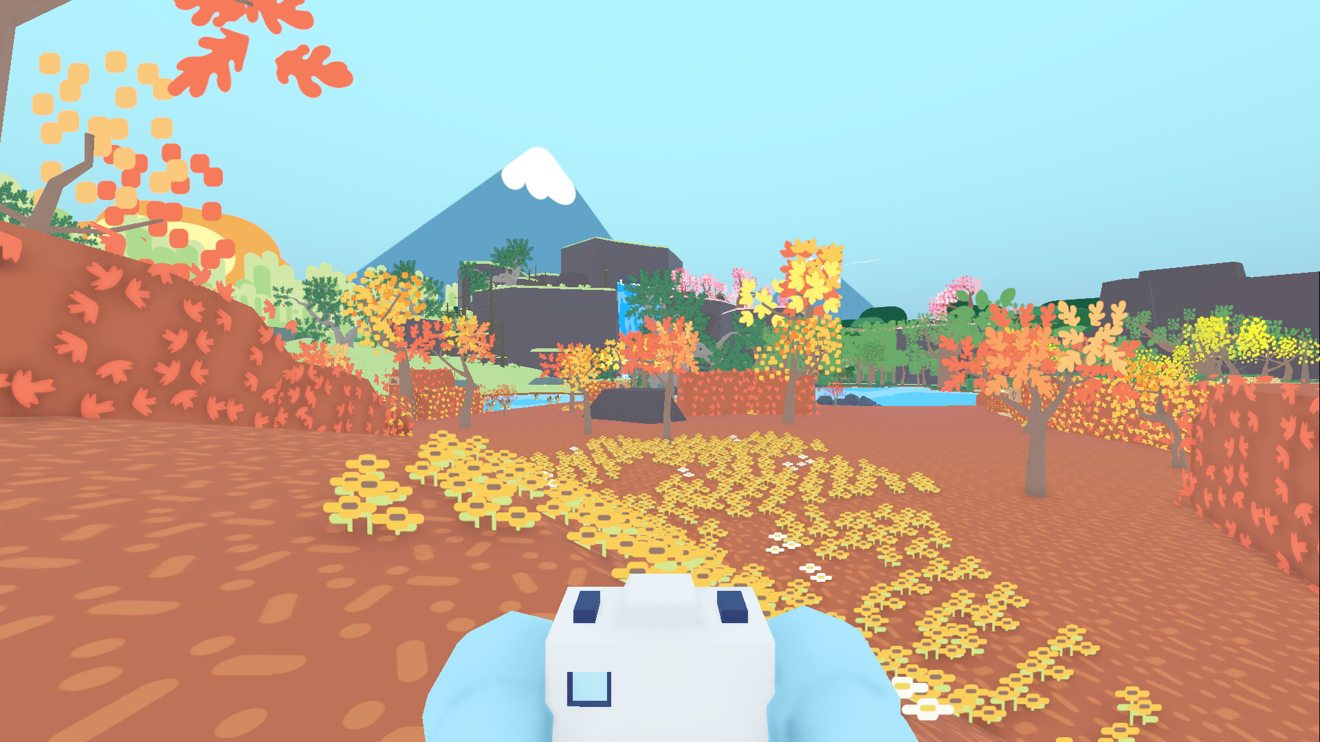 Cena de Flock Around